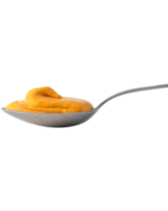 Americanosaus