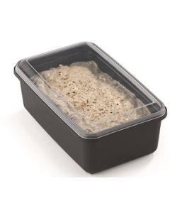 Kip peper salade