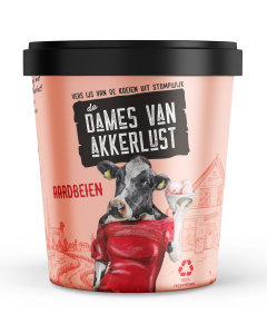 DV Aardbei ijs 24x500ml
