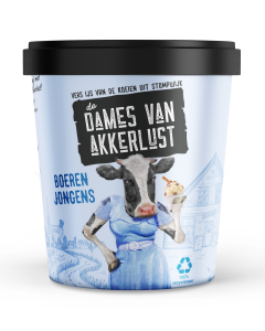 DV Boerenjongens ijs 24x500ml
