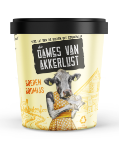 DV Boerenroom ijs 24x500ml