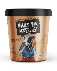 DV Chocolade ijs 24x500ml
